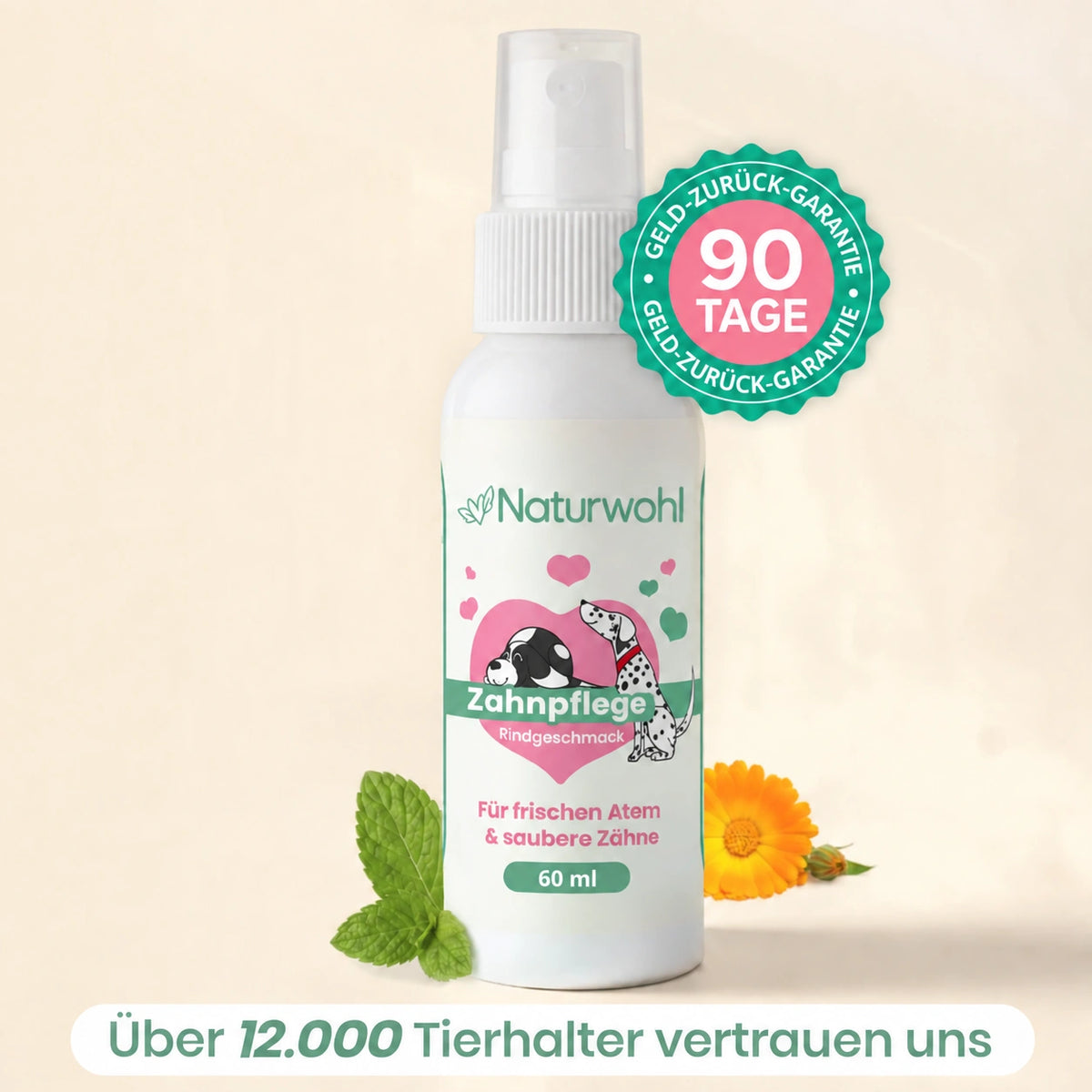 Sichere dir bis zu 62% Nur Heute!
