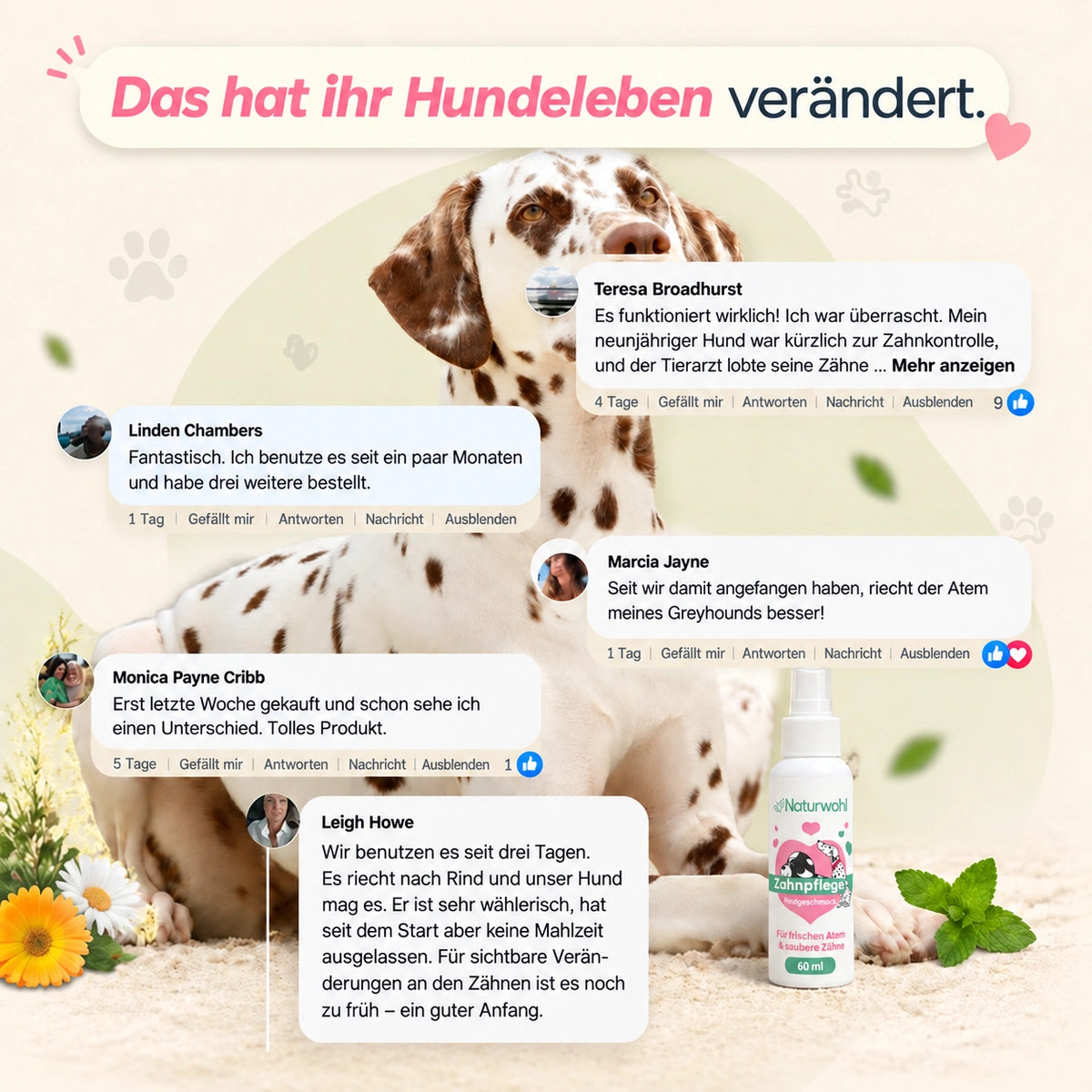 Sichere dir bis zu 62% Nur Heute!