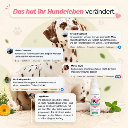 Sichere dir bis zu 62% Nur Heute!