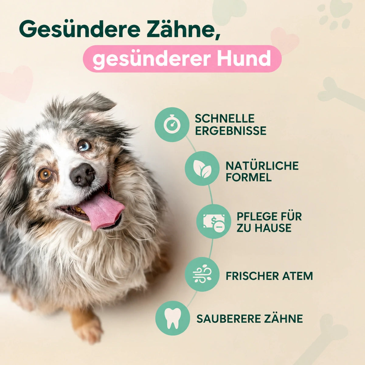 Sichere dir bis zu 62% Nur Heute!