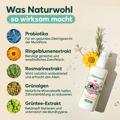 Sichere dir bis zu 62% Nur Heute!