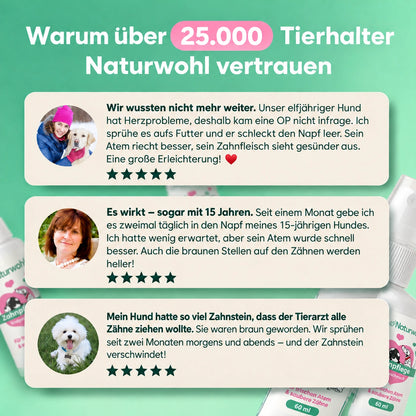 Sichere dir bis zu 62% Nur Heute!